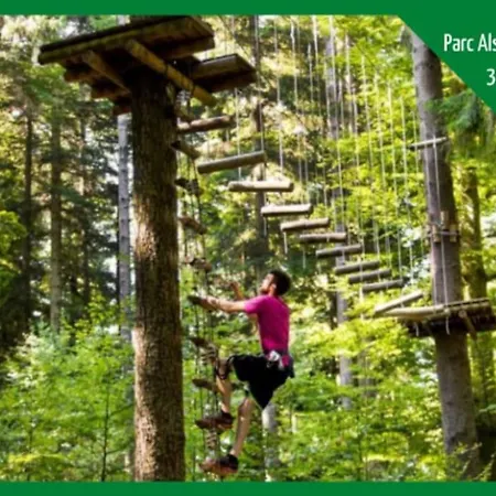 Le Bottier Alsacien 公寓 塞莱斯塔